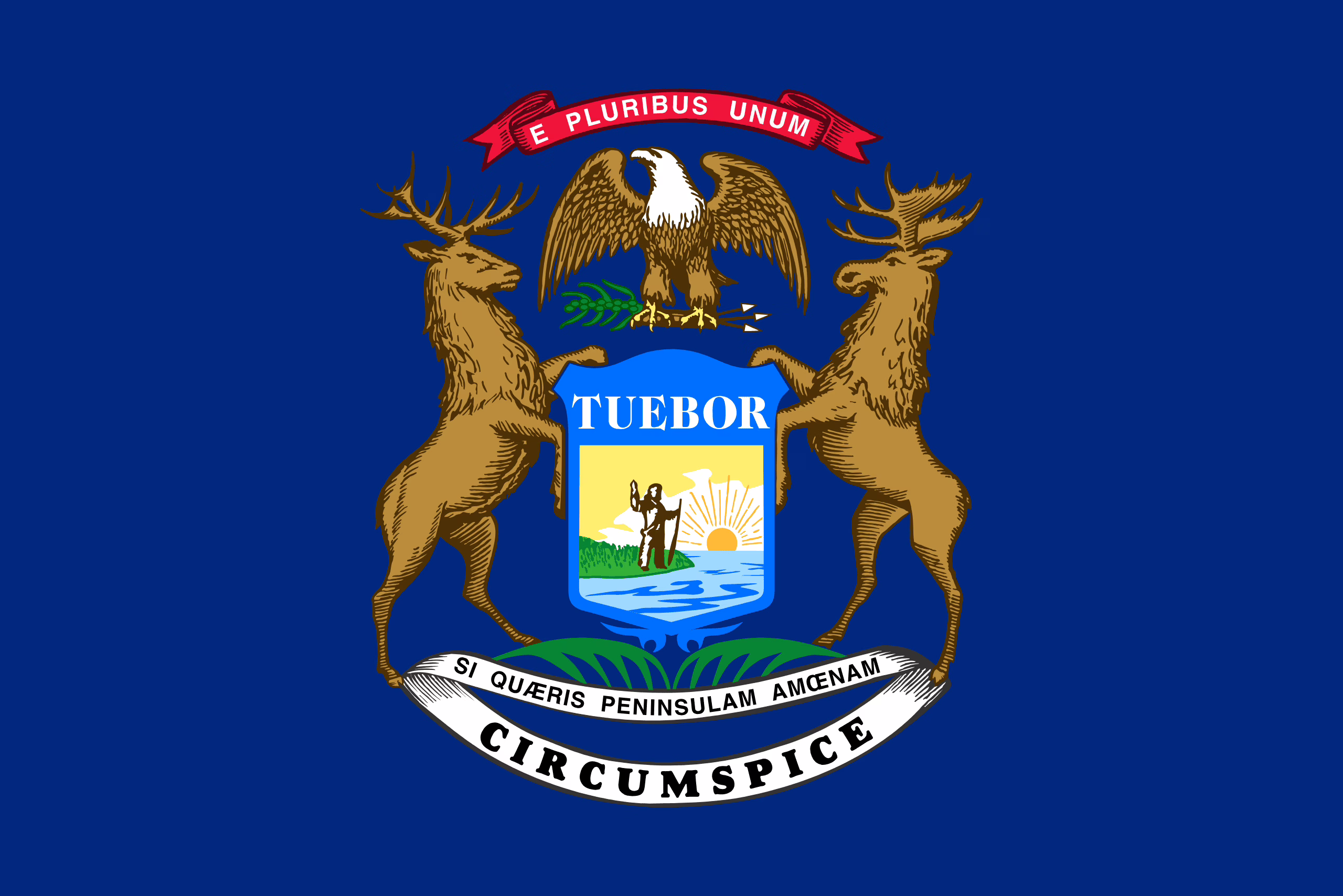 mi Michigan state flag